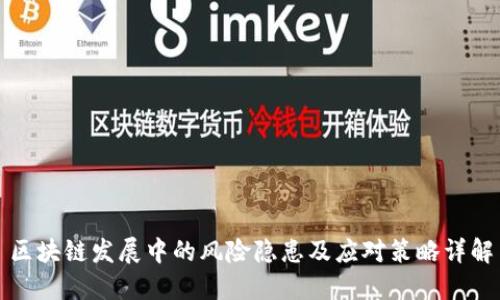 区块链发展中的风险隐患及应对策略详解